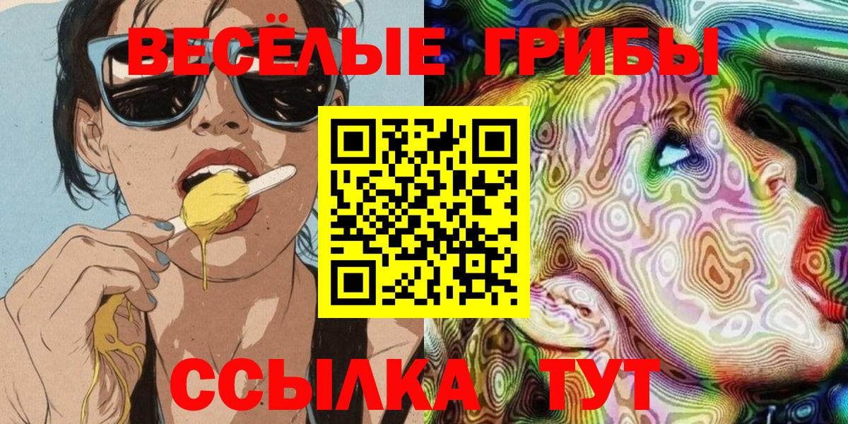 Галлюциногенные грибы Psilocybine cubensis Шарыпово
