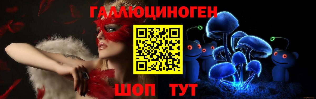 Галлюциногенные грибы Psilocybe  Вход с VPN  Шарыпово  Галлюциногенные грибы мухоморы 